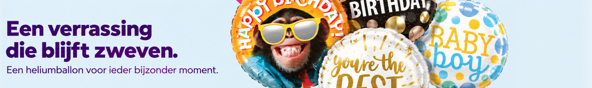 banner Ballonnen