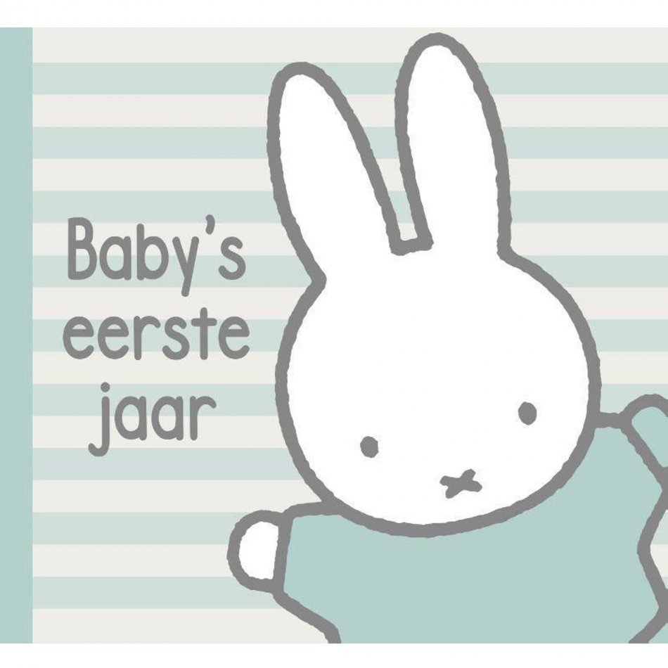 Nijntjes baby's eerst jaar