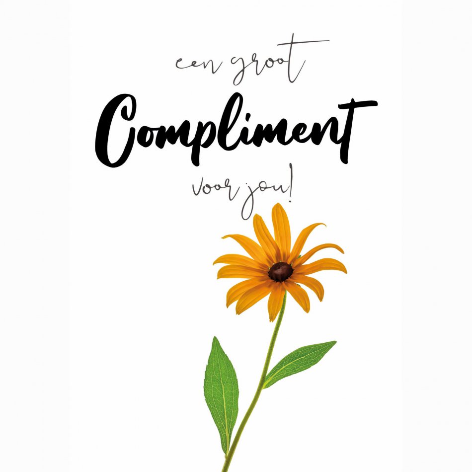 Compliment Een groot compliment voor jou