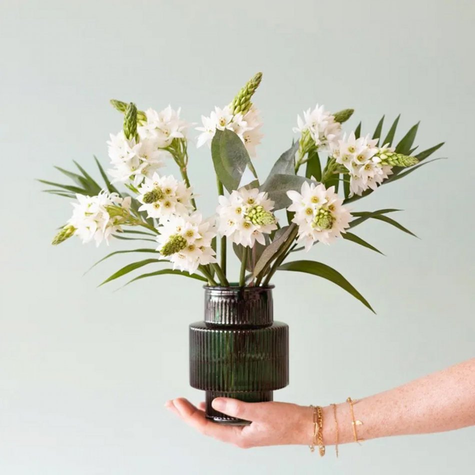 Sereen Brievenbusbloemen