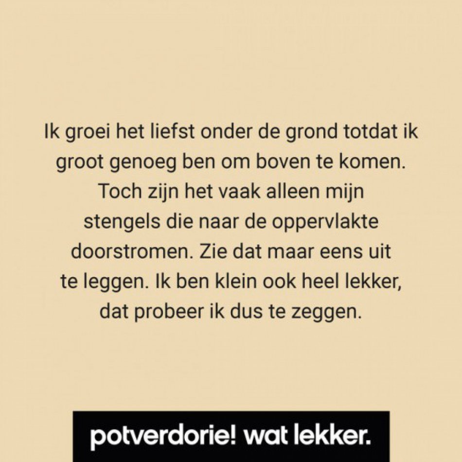 Potverdorie! Uienchutney, 210 ml